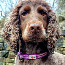 Load image into Gallery viewer, Comfort Dog Collar Purple